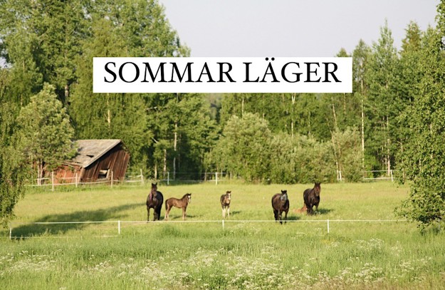 sommarläger.jpg