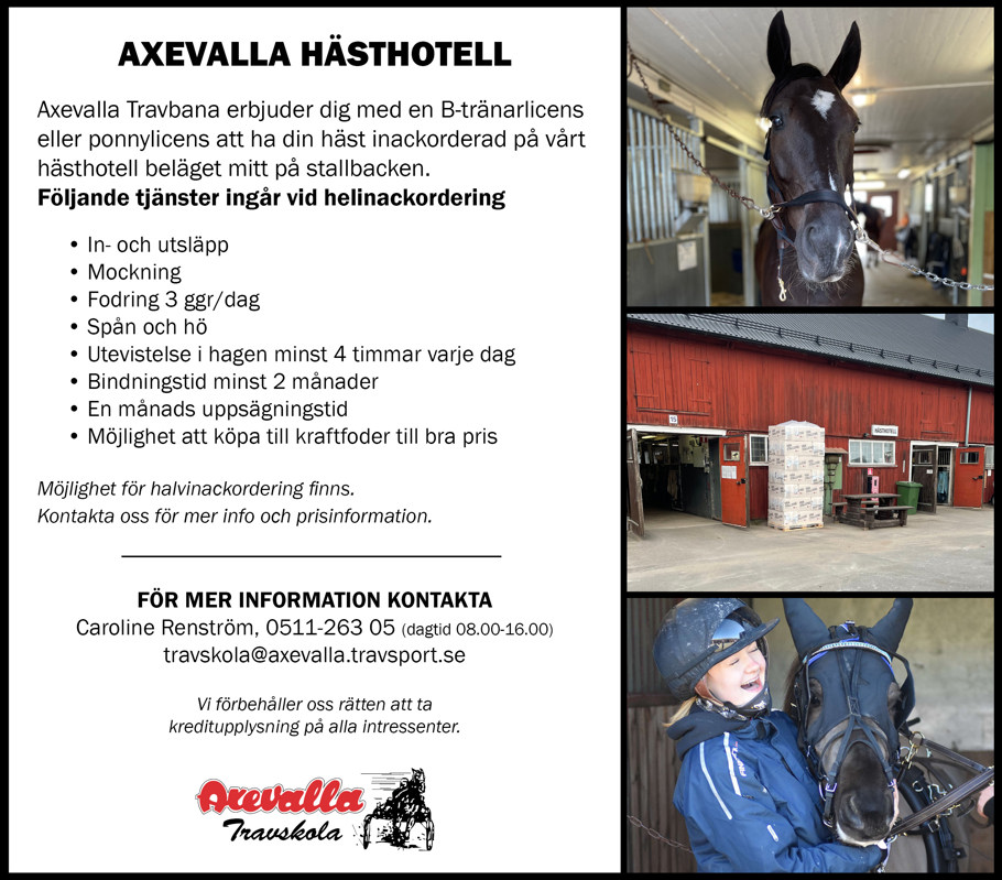 hästhotell annons