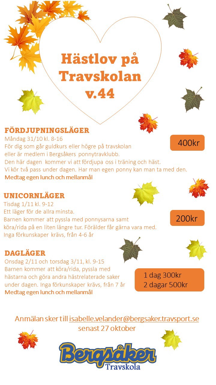 hästlovsläger 2022 bergsaker.jpg