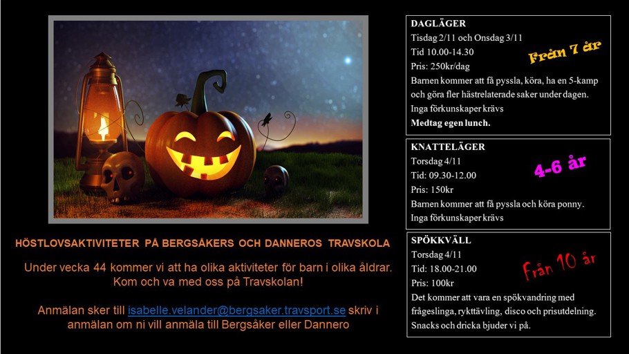 höslovsläger 2021uppdbild.jpg
