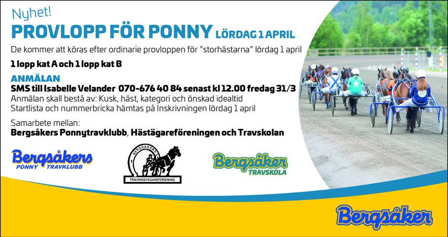 Ponny Provloppinfo (002).jpg