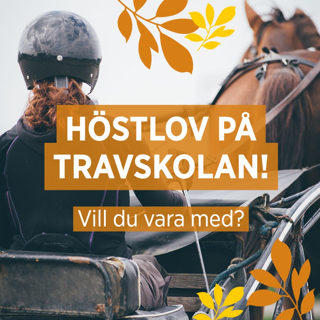 Läger