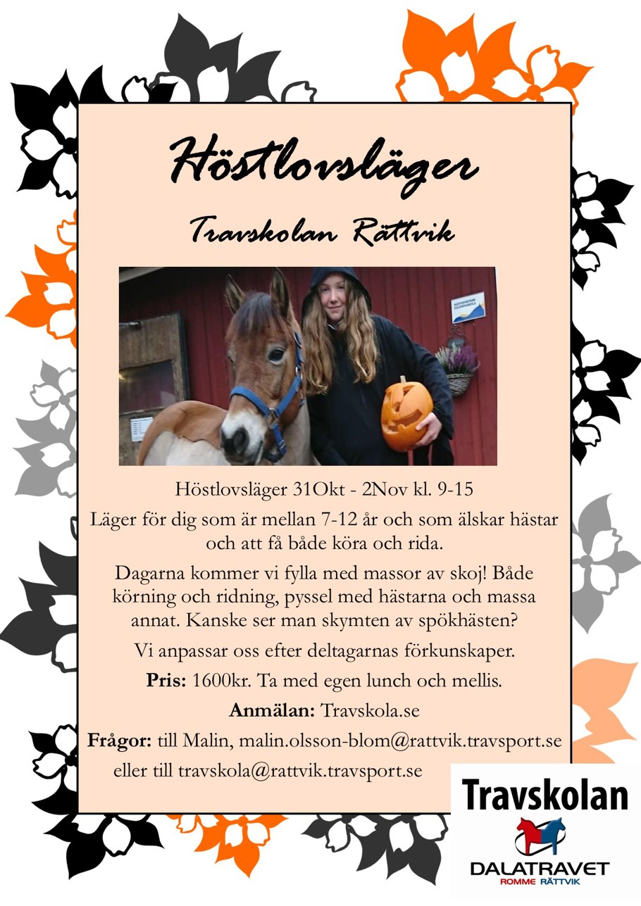 Höstlovsläger 2023.jpg