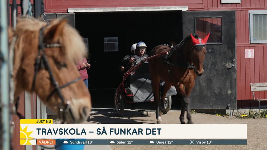 Travskola_1.jpg
